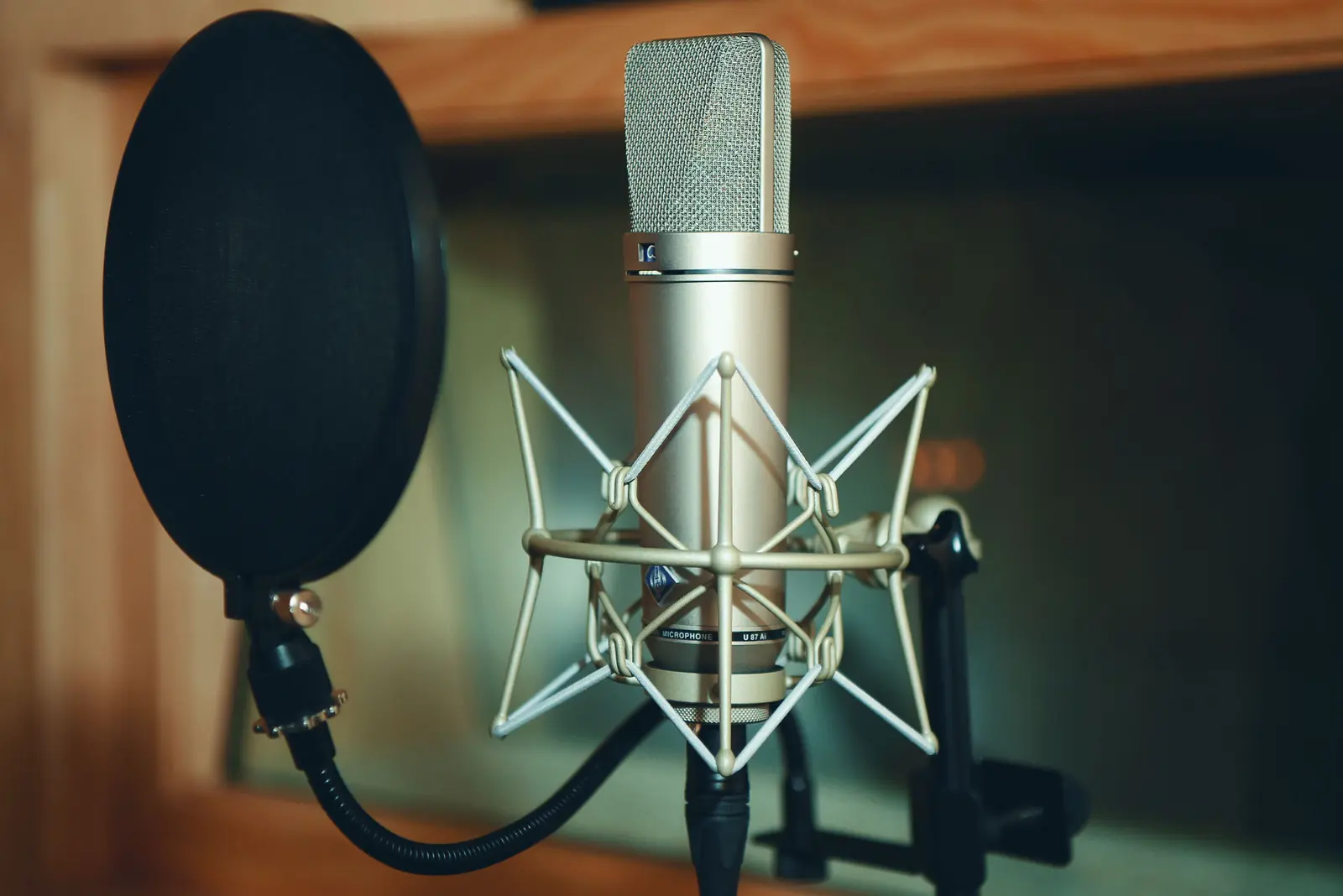 Studio condenser microphone with a pop filter