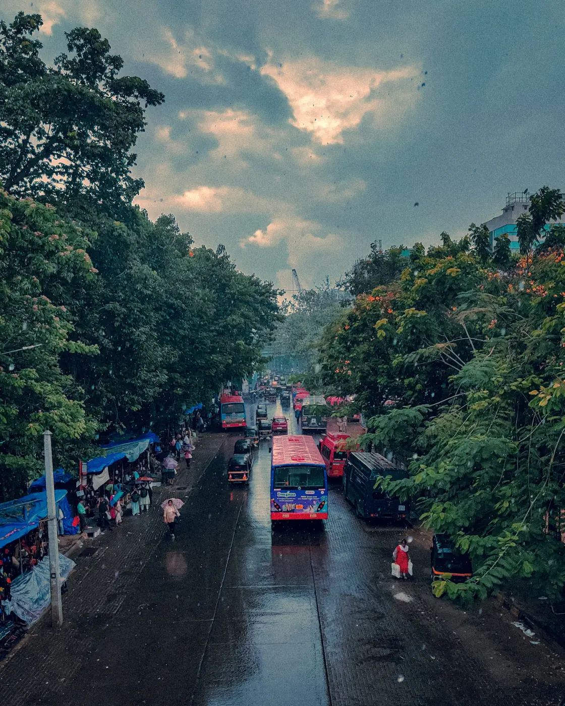 City buses lined along a busy tree-lined Indian street